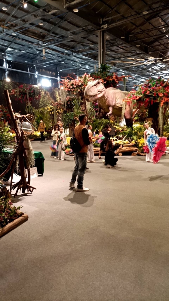 台南蘭花展